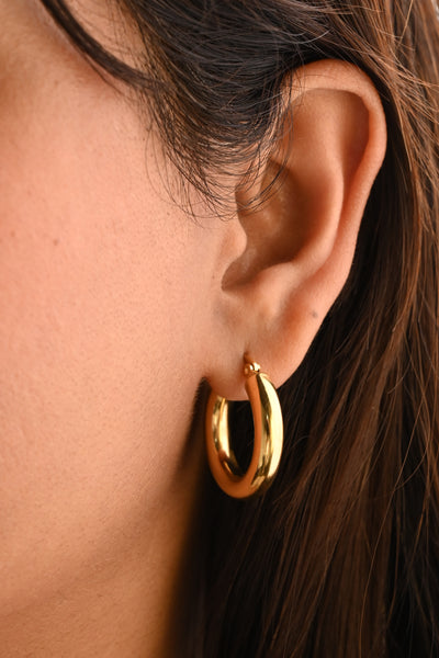 Gold Earrings