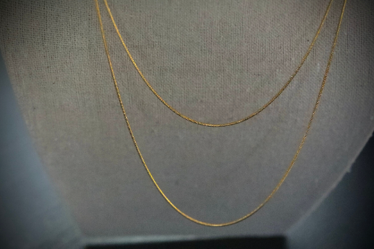 18K Gold-Filled Skinny Snake Necklace